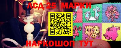прущие грибы Донской