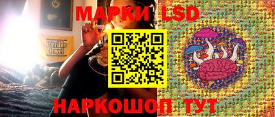 прущие грибы Донской