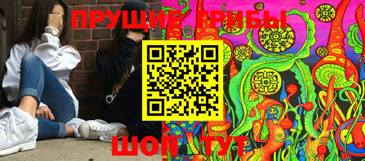 Псилоцибиновые грибы Cubensis Мелеуз